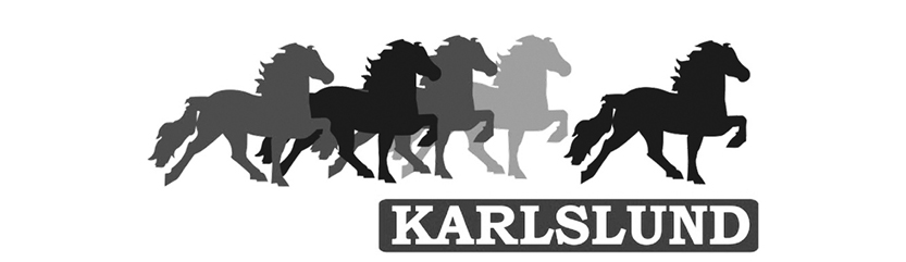 Pferdesport Paradies Partner - Karlslund